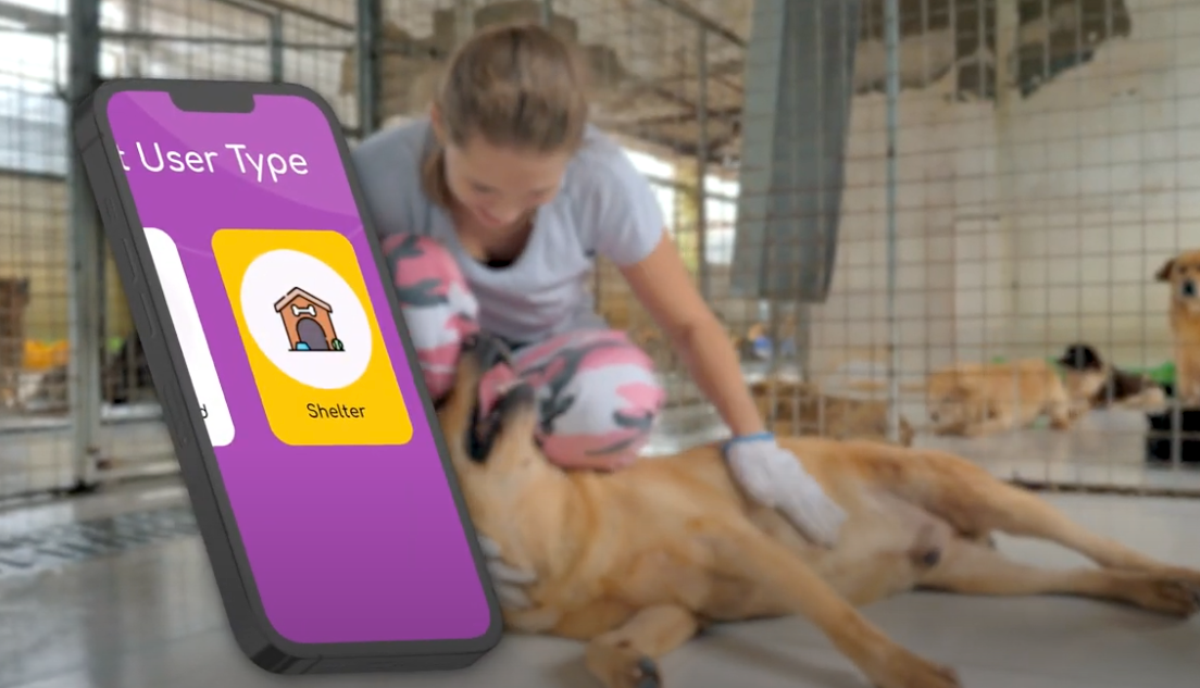 Animal Shelter - Pawrpose